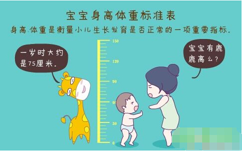 超声波深夜短视频正确测量方法标准身高体重表 超声波深夜短视频正确测量方法标准身高体重表